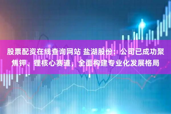 股票配资在线查询网站 盐湖股份：公司已成功聚焦钾、锂核心赛道，全面构建专业化发展格局
