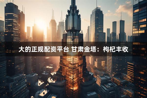 大的正规配资平台 甘肃金塔：枸杞丰收