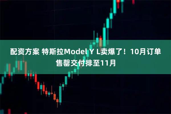 配资方案 特斯拉Model Y L卖爆了！10月订单售罄交付排至11月