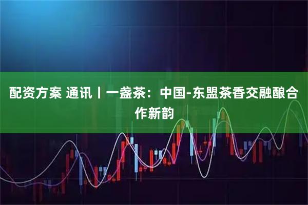 配资方案 通讯丨一盏茶：中国-东盟茶香交融酿合作新韵